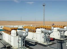 Niger Project
