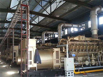 Biogas generator set power plant in Nanjing