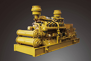 Biogas Generator (600-1700kW)